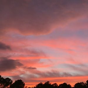 Meet your Posher, Chloe